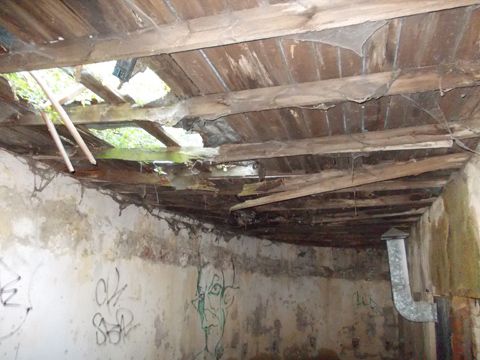 Foto 41